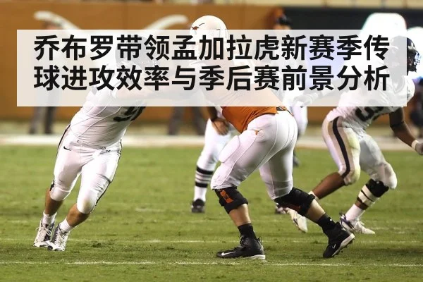 american football offensive line blocking